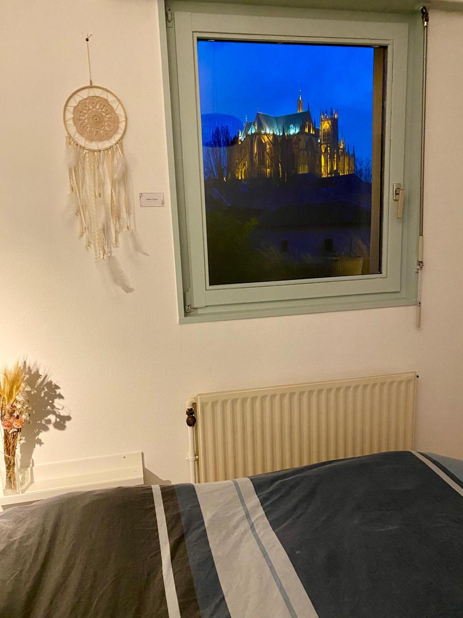 Vue Les Pieds Dans L'eau Appartement Metz