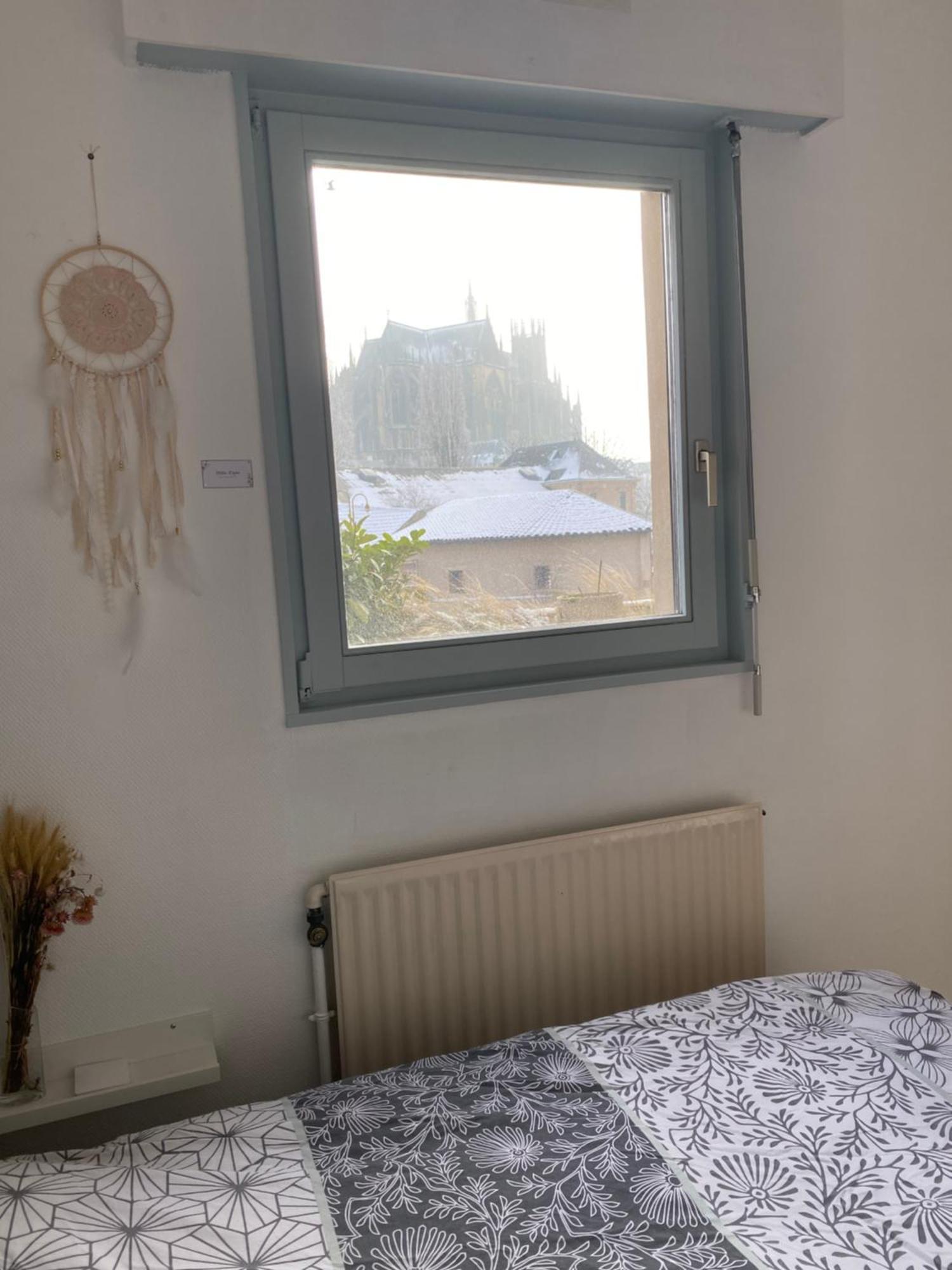 Appartement Vue Les Pieds Dans L'eau Metz